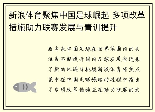 新浪体育聚焦中国足球崛起 多项改革措施助力联赛发展与青训提升